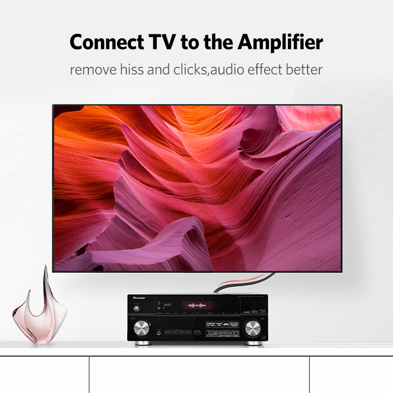 UGREEN 2RCA Ra 2 Đầu RCA Đực C - đánh giá và giá Home Cinema Beamer