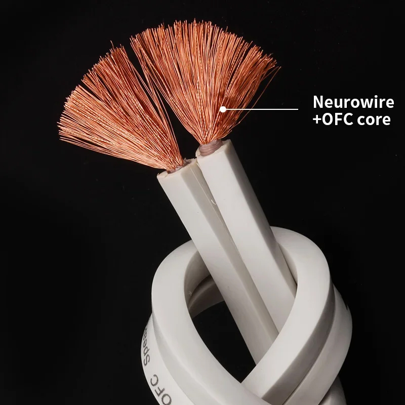 YYTCG DIY Loud Speaker Cable H - đánh giá và giá Home Cinema Beamer