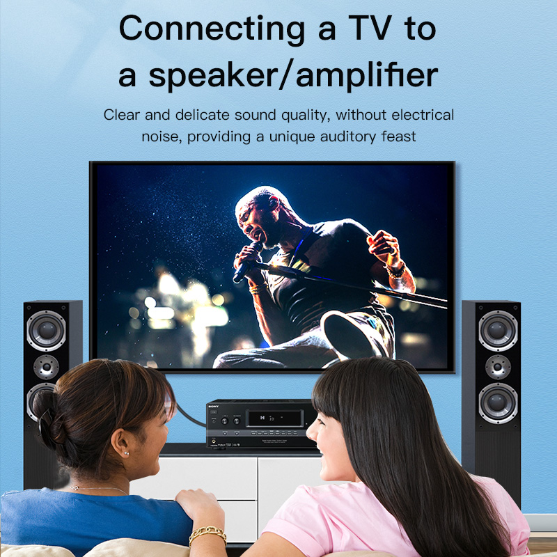 CHOSEAL RCA Cable Digital Coax - đánh giá và giá Home Cinema Beamer