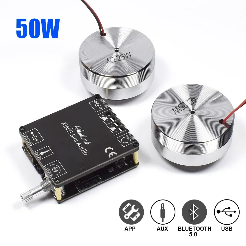 2*25W Portable Stereo Vibratio - đánh giá và giá Home Cinema Beamer